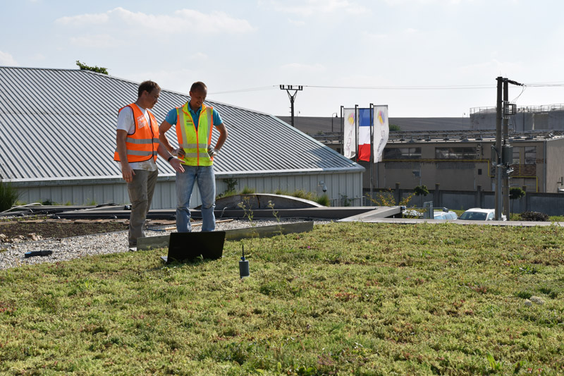 LIKO-NOE with green roofing