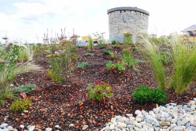 A green roof will enhance any house